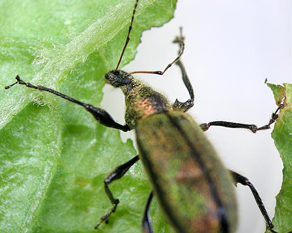 e0035757_16485042.jpg