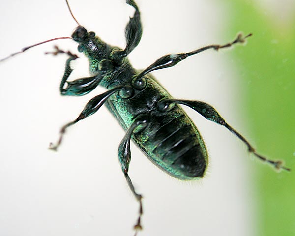 e0035757_1648779.jpg