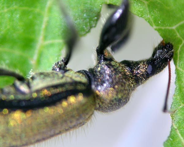 e0035757_1649047.jpg