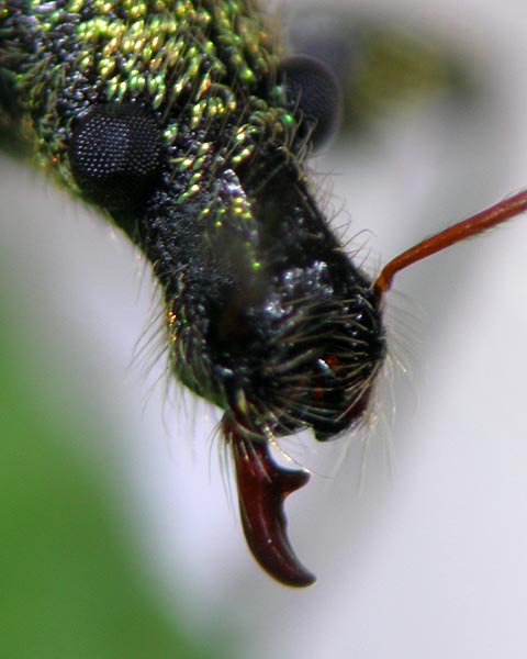 e0035757_16492919.jpg