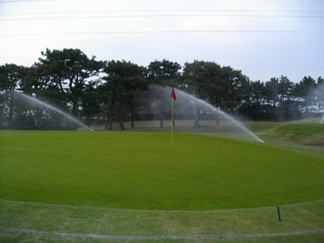 c0110366_17212499.jpg