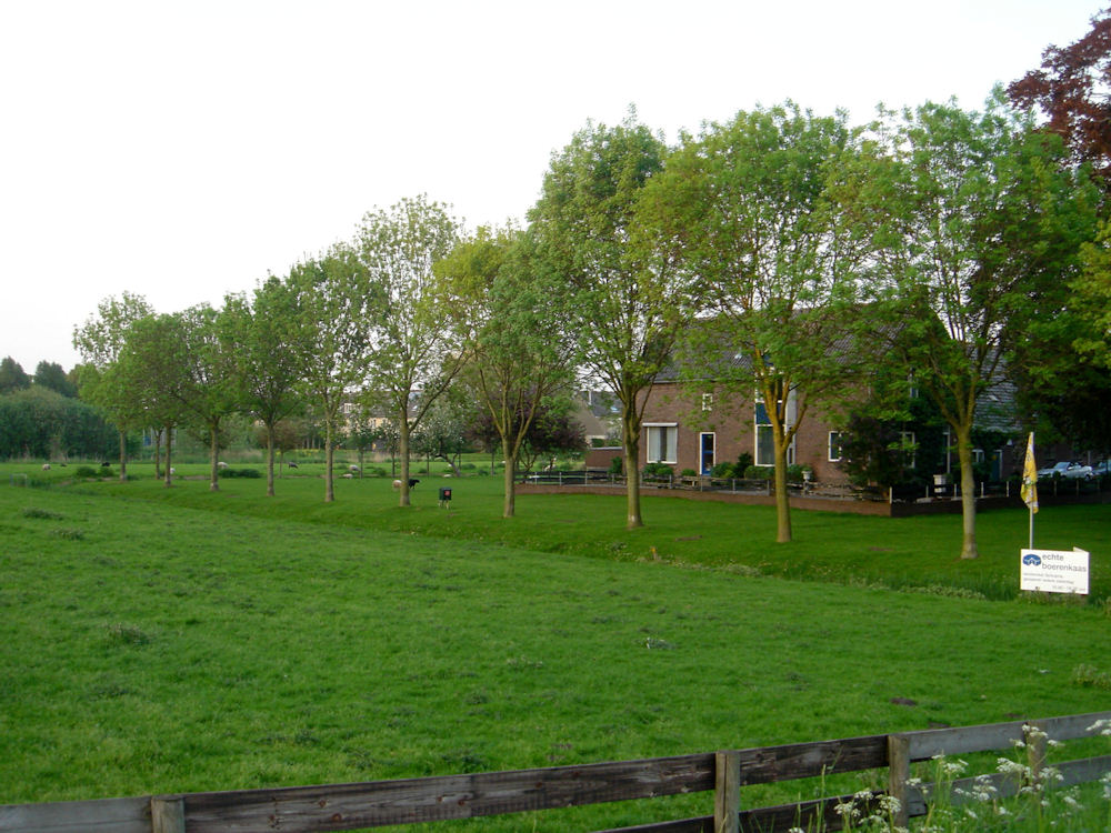 c0198669_2204179.jpg