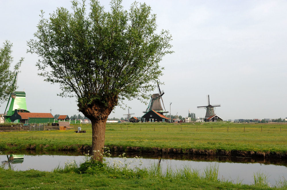 c0198669_2217252.jpg