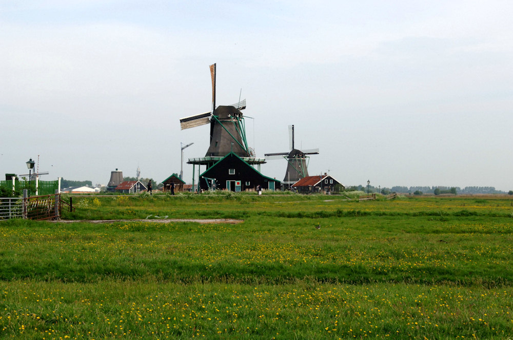 c0198669_22181486.jpg