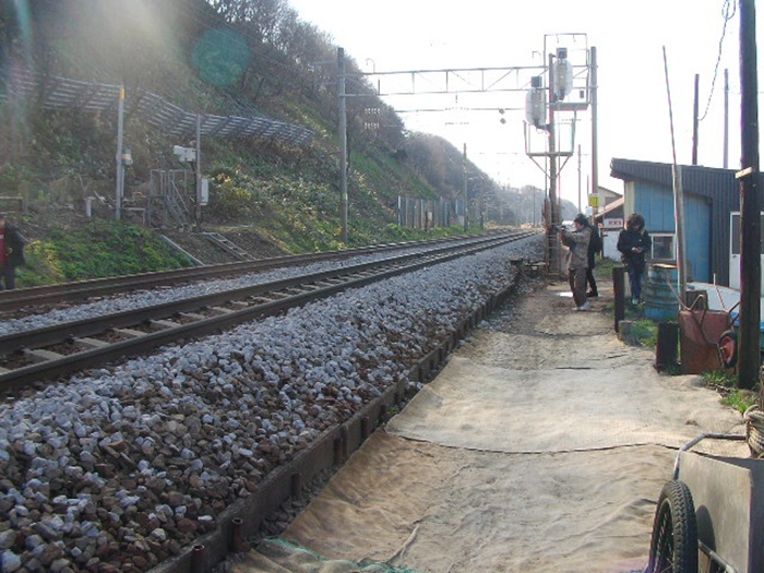 d0005370_18264365.jpg