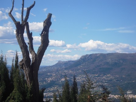 e0066571_23974.jpg