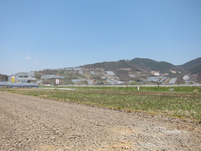 d0028272_21262519.jpg