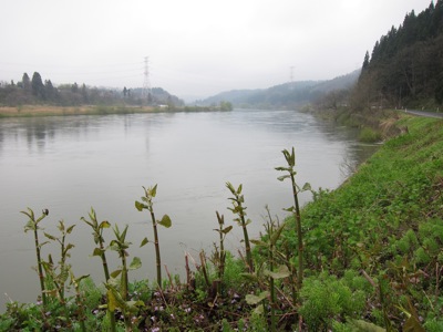 d0028272_21271413.jpg