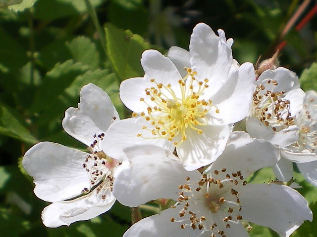 d0054276_20182133.jpg