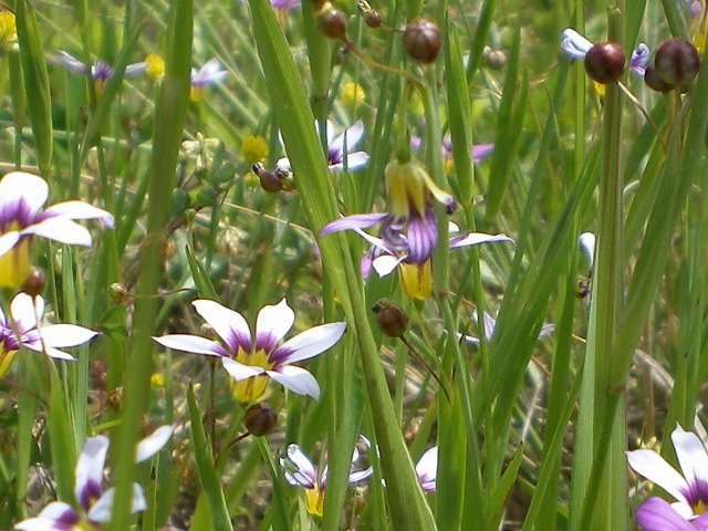 d0054276_20192933.jpg