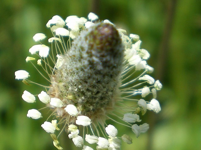 d0054276_2019389.jpg