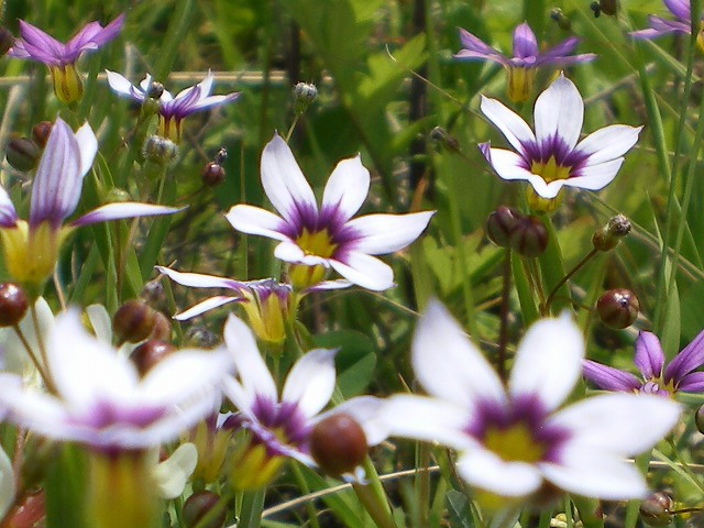 d0054276_20194011.jpg