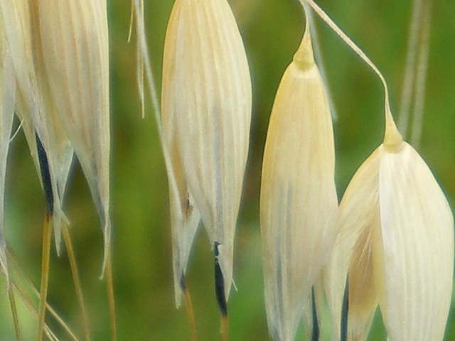 d0054276_20201575.jpg