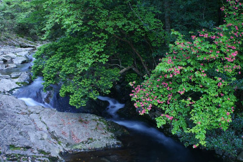 e0152576_2010496.jpg
