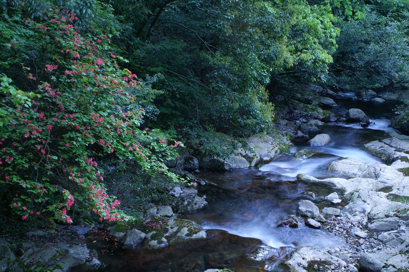e0152576_20132526.jpg