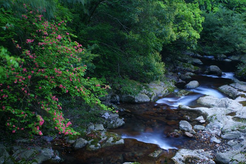 e0152576_20134047.jpg