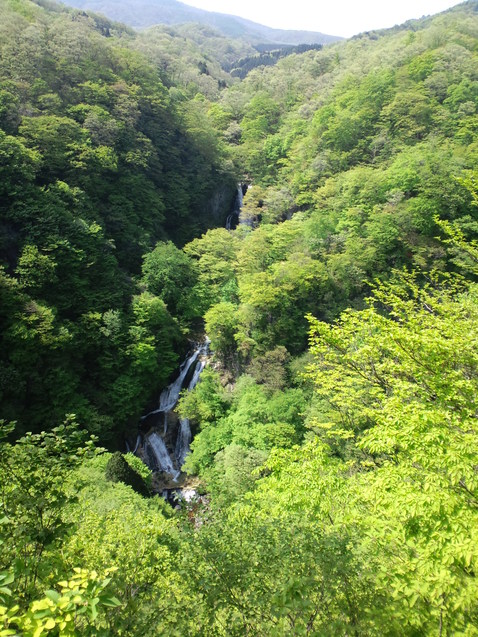 e0131083_73026.jpg