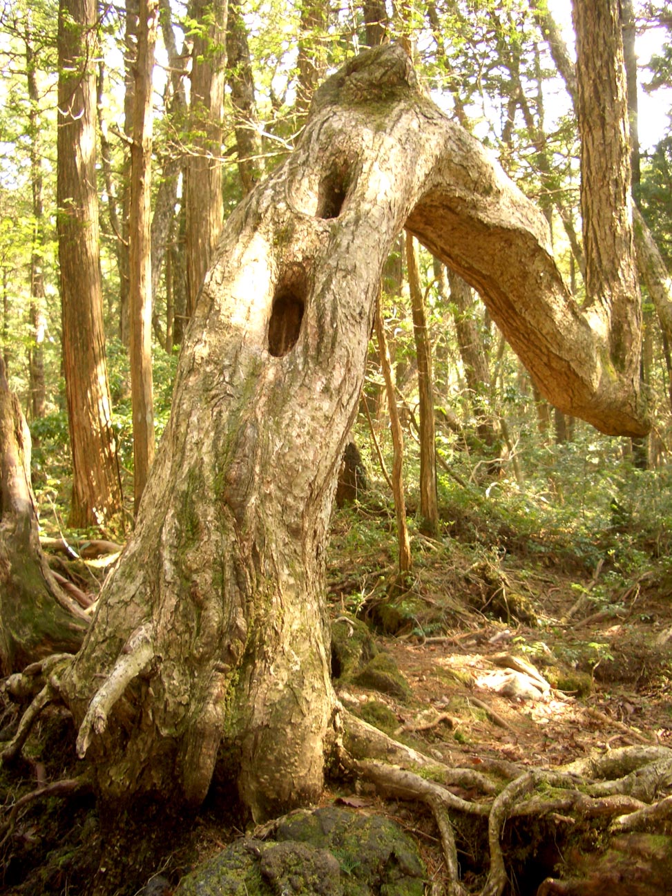 c0221588_0242097.jpg