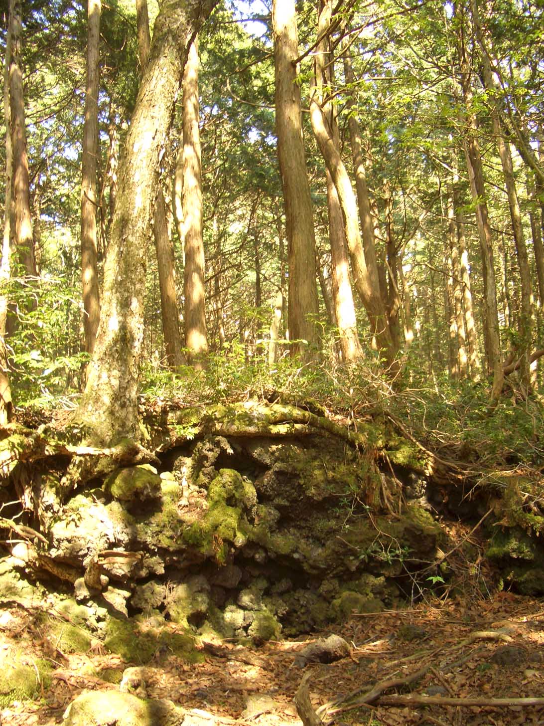 c0221588_0283365.jpg