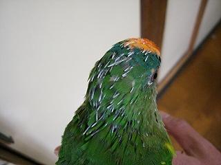 f0234590_1441215.jpg