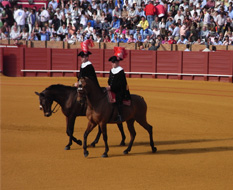 e0150991_0132262.jpg