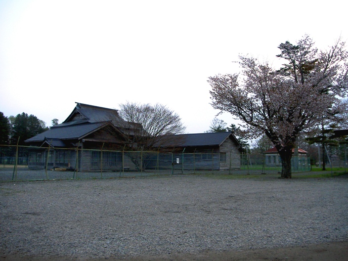 ～　桜だよりほか　～_c0213598_22291633.jpg