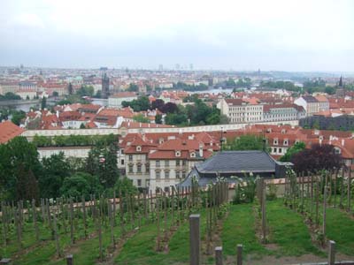 e0149604_234442.jpg