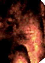 e0103408_12355129.gif