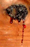 e0103408_12442333.gif