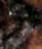 e0103408_134537.gif