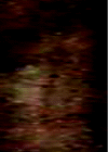 e0103408_13517100.gif