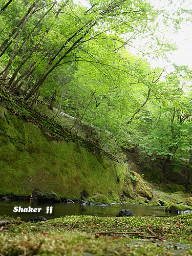 f0021008_20332555.jpg