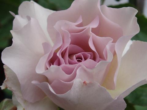 c0147909_8191130.jpg