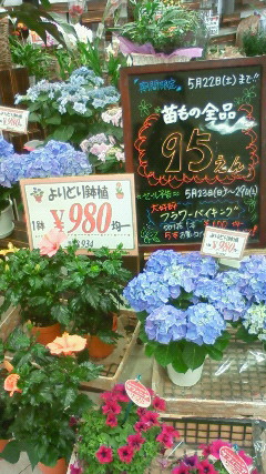 d0150109_1557850.jpg