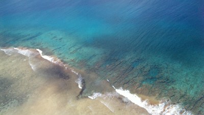 e0141711_209556.jpg