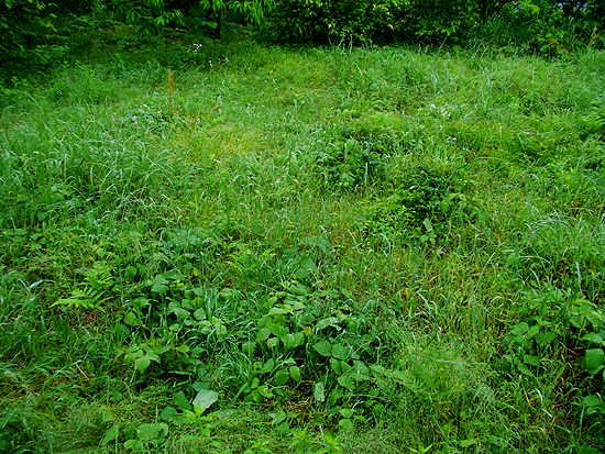 e0034012_21194843.jpg