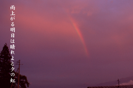 e0099713_2044362.jpg