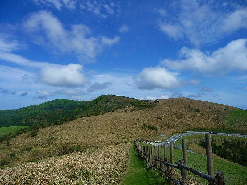 f0182513_9382875.jpg