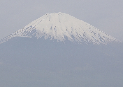 千葉の見どころテンコ盛り　　番外編_f0191413_1027625.jpg