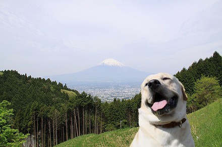 千葉の見どころテンコ盛り　　番外編_f0191413_1028466.jpg