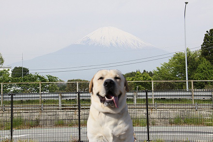 千葉の見どころテンコ盛り　　番外編_f0191413_1038413.jpg