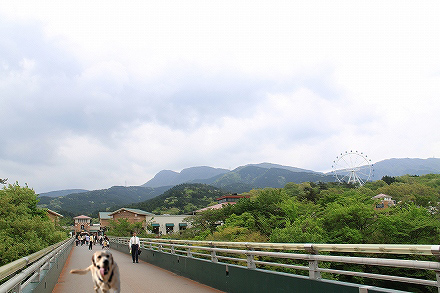 f0191413_10595775.jpg
