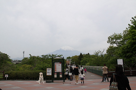 f0191413_1113892.jpg