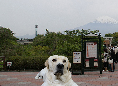 千葉の見どころテンコ盛り　　番外編_f0191413_118357.jpg