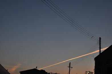 c0116216_15757.jpg