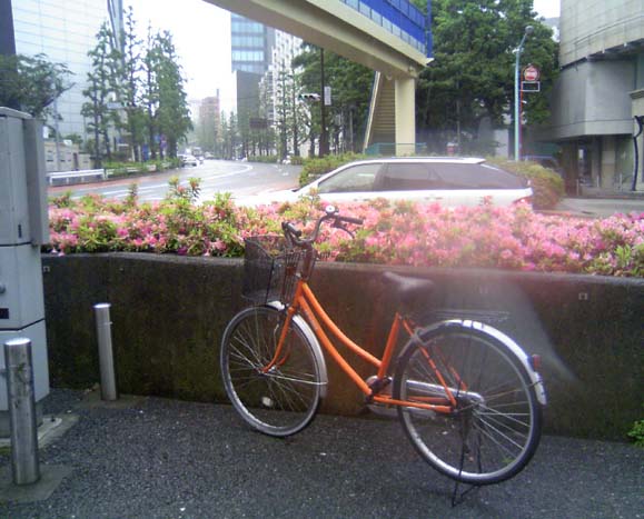 c0083518_8473167.jpg