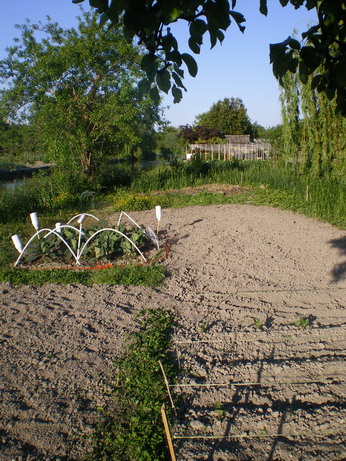 c0124619_5372047.jpg