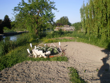 c0124619_538750.jpg
