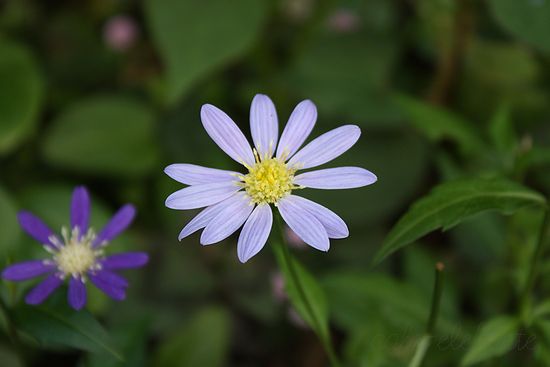 f0162319_10322512.jpg