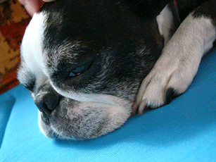 f0232522_162713.gif